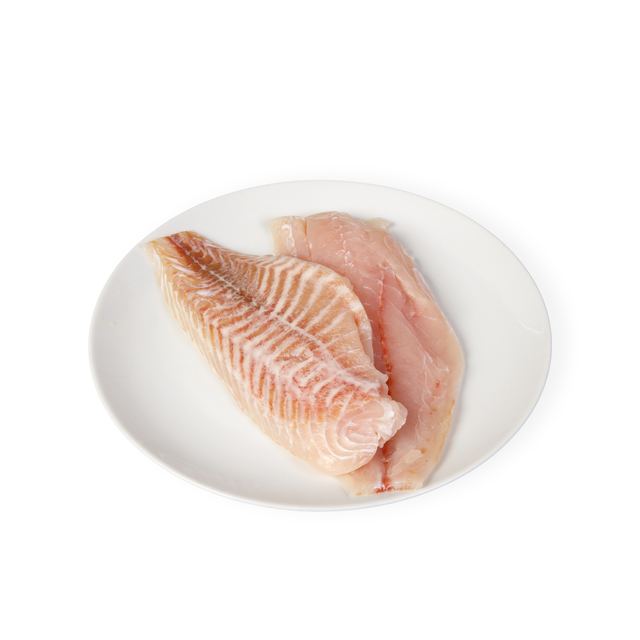 Redfish Fillet
